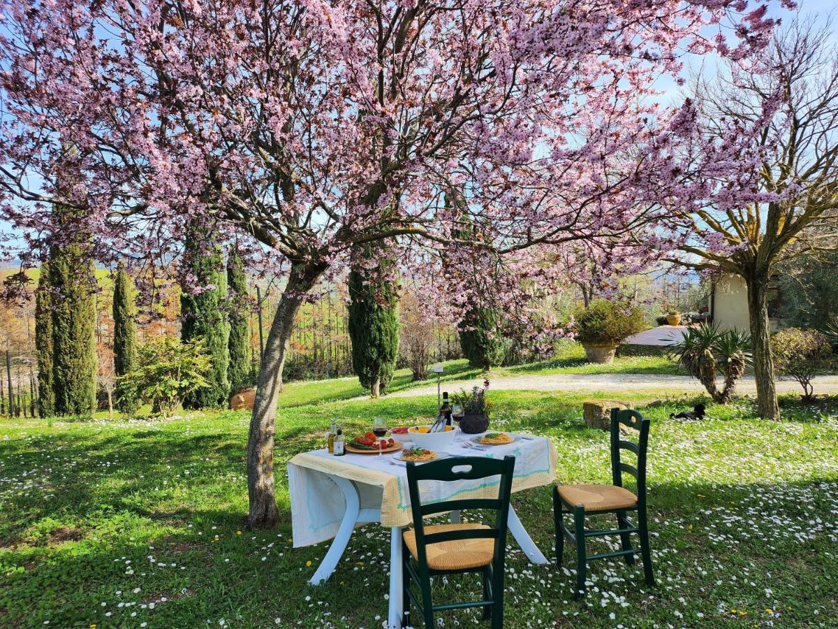 Agriturismo Lucertola Монтекатини-Валь-ди-Чечина Экстерьер фото